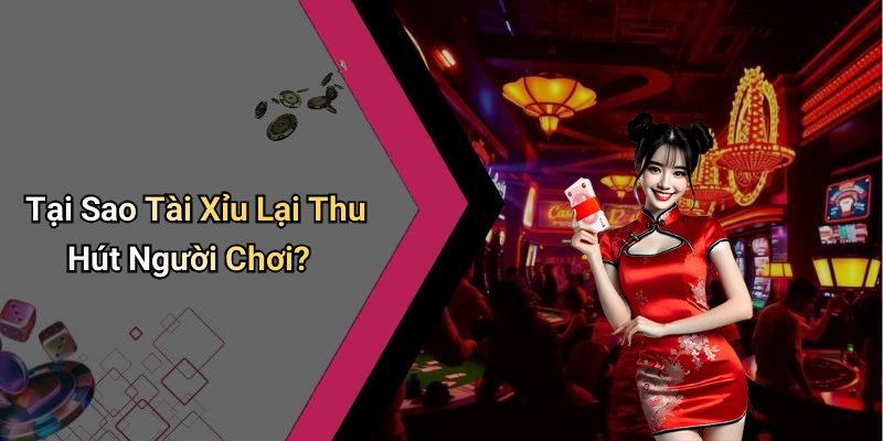 Tại Sao Tài Xỉu Lại Thu Hút Người Chơi?