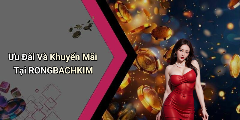 Ưu Đãi Và Khuyến Mãi Tại RONGBACHKIM
