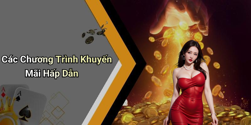 Các Chương Trình Khuyến Mãi Hấp Dẫn