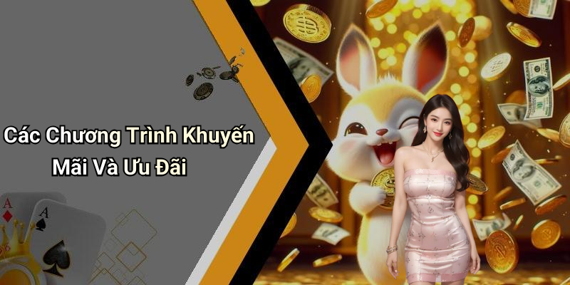 Các Chương Trình Khuyến Mãi Và Ưu Đãi